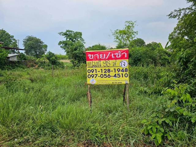ขายด่วน ที่ดิน 98 วา   ใกล้ร.ร.โคกสีพิทยาสรรค์  หนองตูม  เมืองขอน