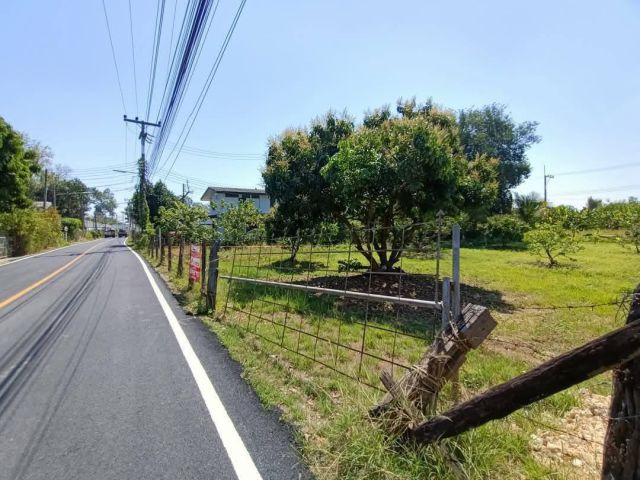 ขายที่ดินเปล่า