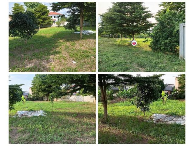 ขายที่ดิน อำเภอเมืองพะเยา 1 ไร่ โฉนด พร้อมโอน โทร 0817830178