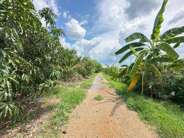 ขายที่ดินทำเกษตร / เกษียณ ลาดหลุมแก้ว  ปทุมธานี 20 – 1 – 58.3 ไร่