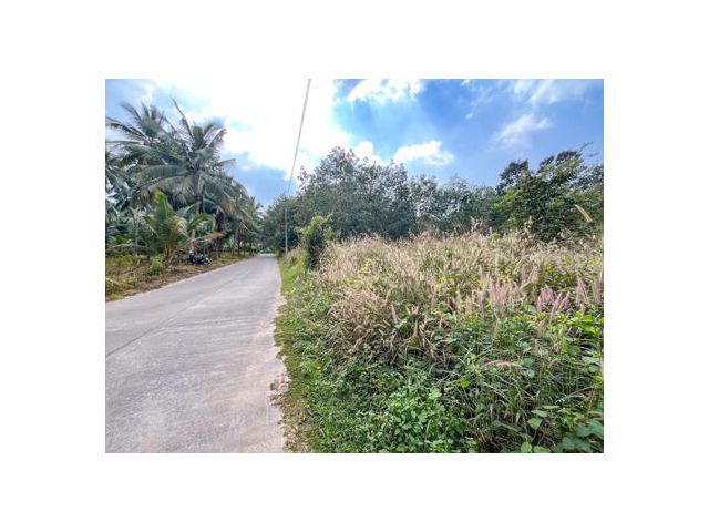1 Rai Land for Sale in Taling Ngam Koh Samui