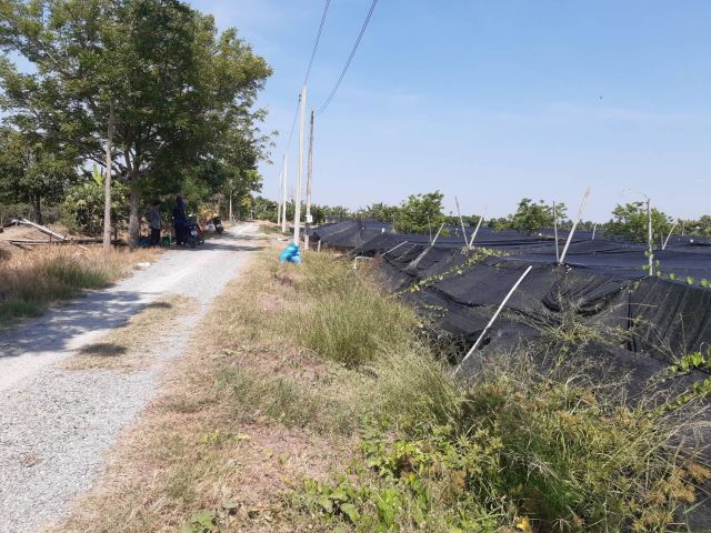 ขายด่วน!!!ที่ดินแปลงสวย บ้านห้วยพลู ราคาถูกใกล้ชุมชน ใกล้ตลาด เนื้อที่ 1 ไร่ได้บรรยากาศแนวสวนเหมาะปลูกบ้านทำเกษตรพอเพียง