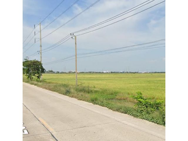 ขายที่ดิน200ปี  จำวน186-1-06ไร่