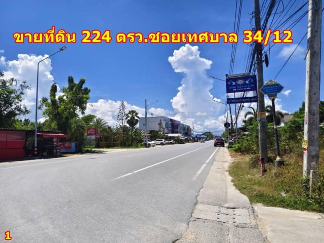 ขายที่ดิน บ้านฉาง ระยอง 224 ตร.ว. ใกล้สนามบินนานาชาติอู่ตะเภา