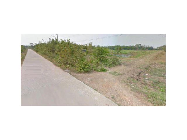 ขายที่ดิน 38 ไร่ ถนนประชาสัมราญ หนองจอก กรุงเทพฯ