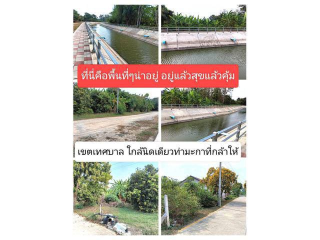 นี่คิอพื้นที่เขตเทศบาล อ.ท่ามะกาได้รับการพัฒนาให้เป็นที่อยู่อาศัย ราคานี้พร้อมบ้านเลือกทำเลที่ต้องดู แล้วอยู่ให้เป็น