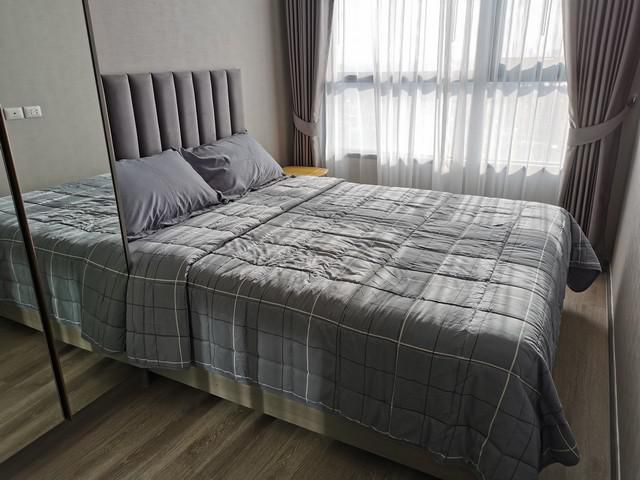 KnightsBridge Onnut 43fl