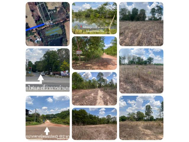 ขายที่ดินสวยทำเลดี ฟรีต้นสัก