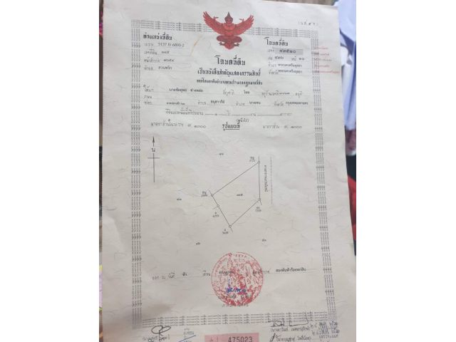 ขายที่ 1ไร่  (ไม่ถึงล้าน)