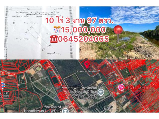 ขายด่วน! ที่ดินติดตำรวจภูธรนราธิวาส 10 ไร่ 3 งาน 97.8ตรว.