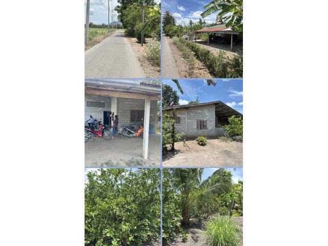 บ้านพร้อมที่ดินติดถนนลาดยาง