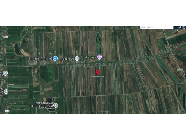 ขายที่ดิน 100 ตร.วา 3 แปลง