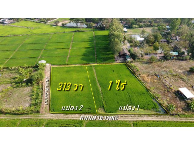 ที่นาแบ่งขาย 313 ตร.ว. และ 1 ไร่ ใกล้ที่ว่าการอำเภอสันกำแพง เหมาะบ้านสวนเกษตร