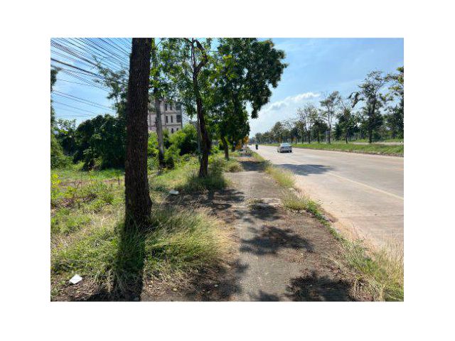ขายที่ดิน 7 ไร่ ติดถนน 117 ใกล้มหาวิทยาลัยนเรศวร ต.ท่าโพธิ์ อ.เมือง จ.พิษณุโลก