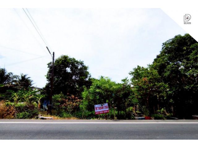 ขายที่ดินเปล่าราชบุรี ดำเนินสะดวก-ราชบุรี