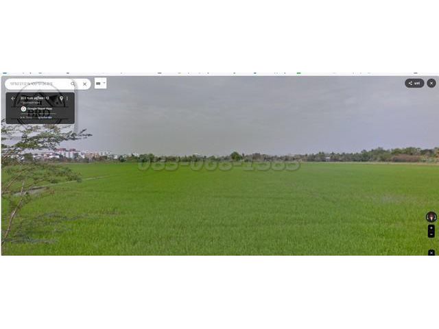 ขายที่ดินถนนอยู่วิทยา ผังสีเหลือง เนื้อที่ 100 ไร่