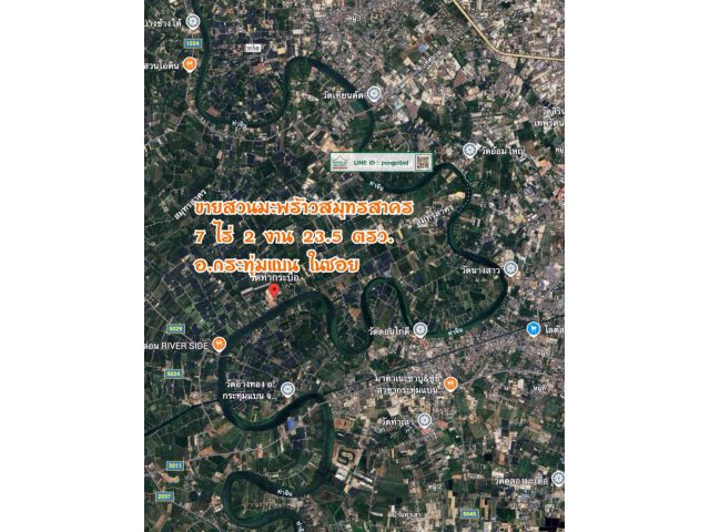ขายสวนมะพร้าวสมุทรสาคร กระทุ่มแบน โฉนด 7 ไร่ 2 งาน 23.5 ตรว. ไร่ 1.59 ล้าน