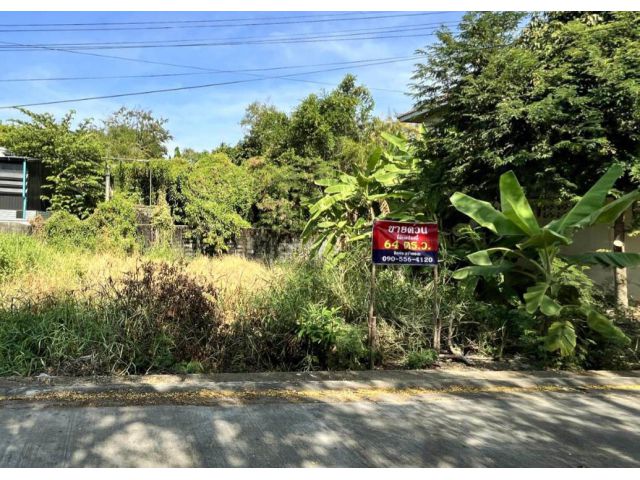 ขายด่วน! ที่ดินเปล่า 64ตร.ว. คู้บอน31 แยก5