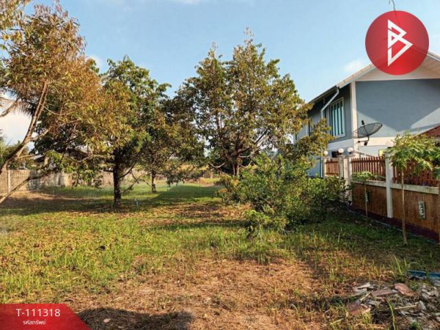 ขายที่ดินพร้อมสวนผลไม้ เนื้อที่ 2 งาน 69 ตร.วา ท่าช้าง จันทบุรี