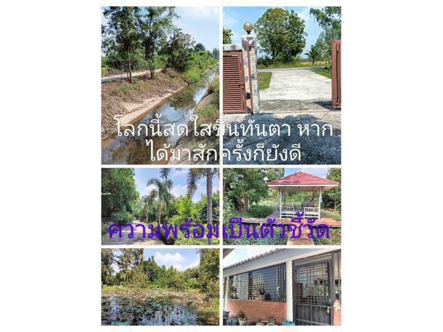 กล้าที่จะแตกต่างอย่างสิ้นเชิงอย่างมีความหมาย ทั้งราคาและสถานที่อย่างลงตัว ให้รางวัลขีวิตกับตัวเอง ขอนำร่องชี้ช่องแปลง