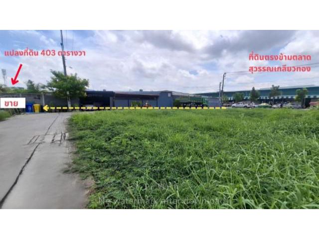 ขายที่ดิน 403 ตรว.หทัยราษฏร31 ที่ดินเข้าซอย100 ม.กรุงเทพ