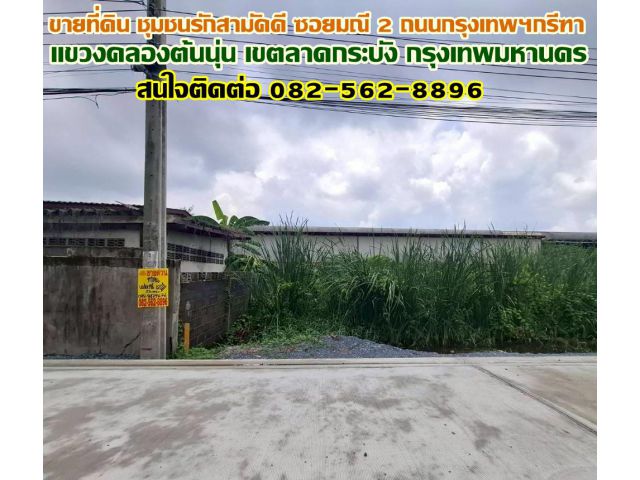 ขายที่ดิน ชุมชนรักสามัคคี ซอยมณี 2 ถนนกรุงเทพฯกรีฑา ลาดกระบัง