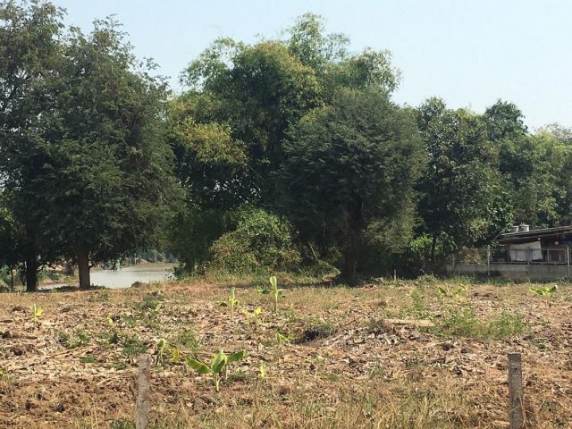 ขายที่ดินติดริมแม่น้ำท่าจีน 742 ตรว.