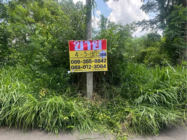 ขายที่ดิน 4-3-92 ไร่ หนองอิรุณ   บ้านบึง ชลบุรี