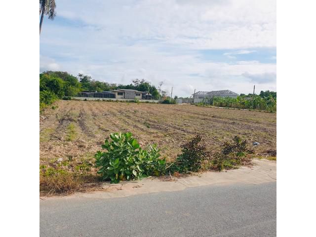 ขายที่ดิน  2 ไร่  ทุ่งละหาน ห้วยใหญ่ พัทยา ติดถนน 2 ด้าน