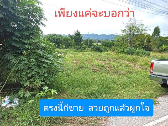 ให้ด่วน แต่กวนใจเล็กน้อยถึงปานกลาง ตรงนี้เจริญหูเจริญตาพาให้สุขสมบูรณ์ ทัศนียภาพอย่างโลกสวยสดใสโลกใบเขียว คือแปลงปราถนา