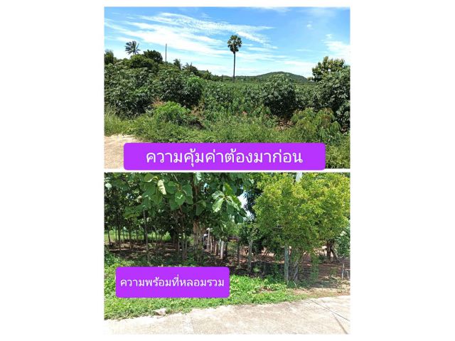 เสนอคำว่าที่ดิน เป็นทรัพย์สินที่อยู่อาศัยที่ใครๆก็ใฝ่หา ด้วยราคาตอบสนองความต้องการเป็นอย่างดีในราคาเดิม มีแต่ได้ไม่มีลบ