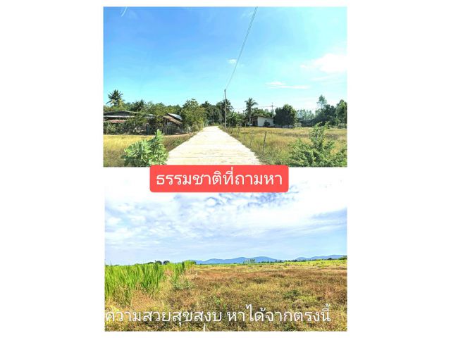 แปลงที่ดีที่สุดในยามนี้ถูกสุดราคานี้ อย่าหนีอย่าหน่ายห้ามจ่ายก่อนจบ ด่วนชวนให้มองโอกาสทอง ถูกใจไม่ว่ายามนี้หรือยามไหน