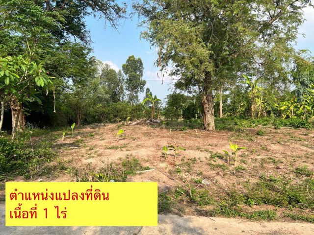 ขายที่ดิน 1 ไร่ อ.บ้านนา นครนายก ใกล้ชุมชน เหมาะปลูกบ้าน ทำเกษตร