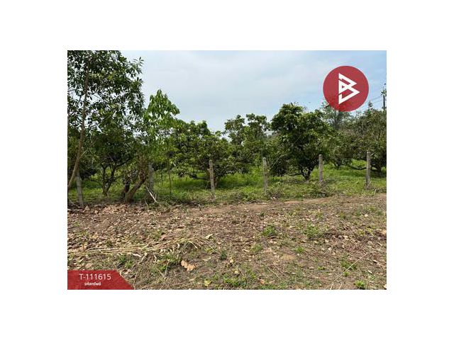 ขายที่ดิน เนื้อที่ 6 ไร่ 67.4 ตร.วา ปัว น่าน