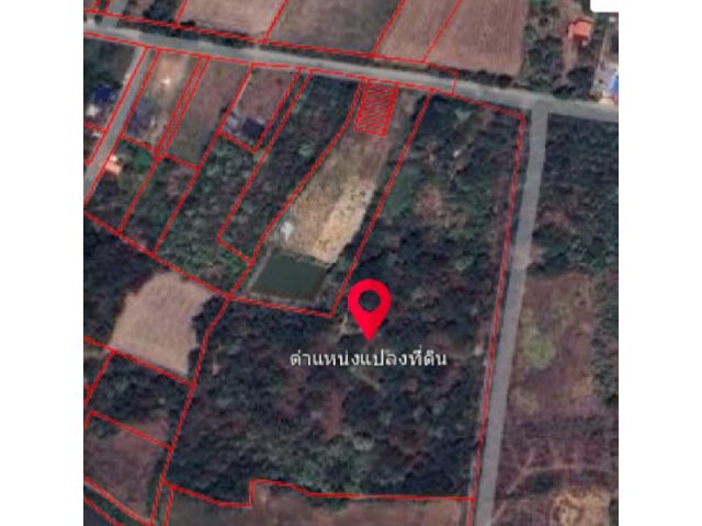 ขาย หรือให้เช่าระยะยาว ที่ดิน 19 ไร่ ใกล้สถานีรถไฟหนองกวย อ.ภาชี