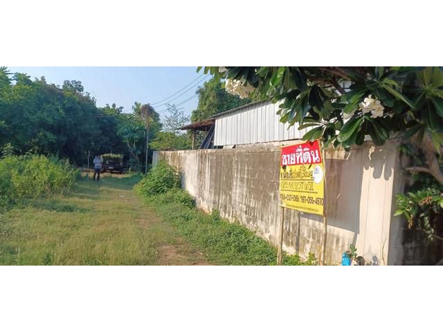ขายที่ดิน 1-3-60 ไร่ ราคาถูก ในชุมชน  บ้านกร่าง เมืองพิษณุโลก