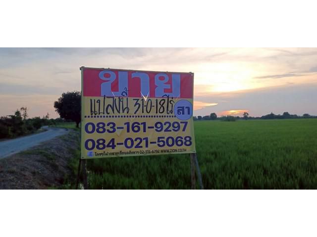 ขายที่นาราคาถูก 31-0-18 ไร่ พลายชุมพล  เมืองพิษณุโลก