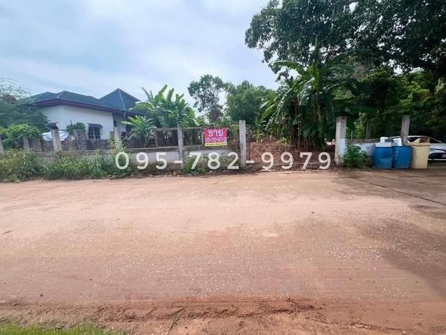 ขายที่ดิน ถ.3145 ต.กร่ำ อ.แกลง จ.ระยอง