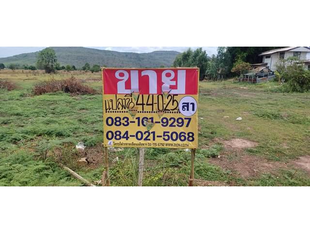 ขายที่ดินผืนใหญ่ใกล้ชุมชน 44-0-25 ไร่  วังทอง  พิษณุโลก