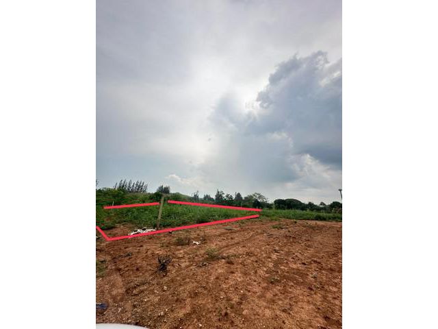 ขายที่ดินเปล่าทำเลดีมาก  อ.ปากช่อง จ.นครราชสีมา  พื้นที่ : 199.8