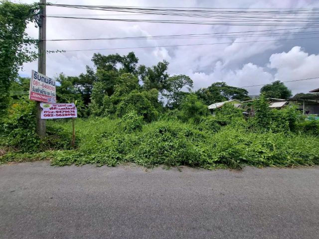 ขายที่ดินคลอง 5 ตะวันออก 7 ถนนเลียบคลอง 5 คลองหลวง ปทุมธานี
