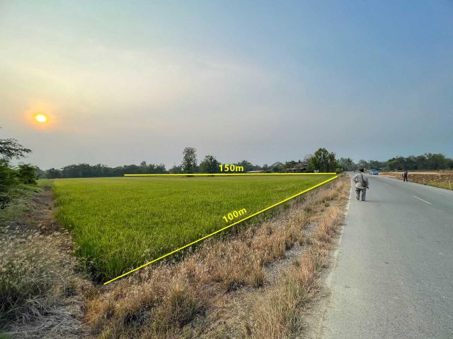 ขายที่ดิน ซ.หนองหัวยาง 13 อ.ท่าทอง จ.พิษณุโลก 9-1-43.5ไร่