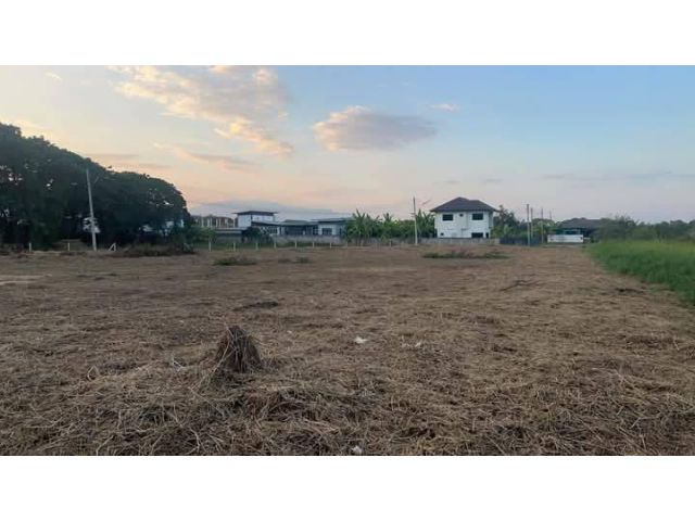 ขายที่ดินตำบลไชยสถานสารภีอยู่หลังไทวัสดุใกล้ถนนหลักพร้อมโอน