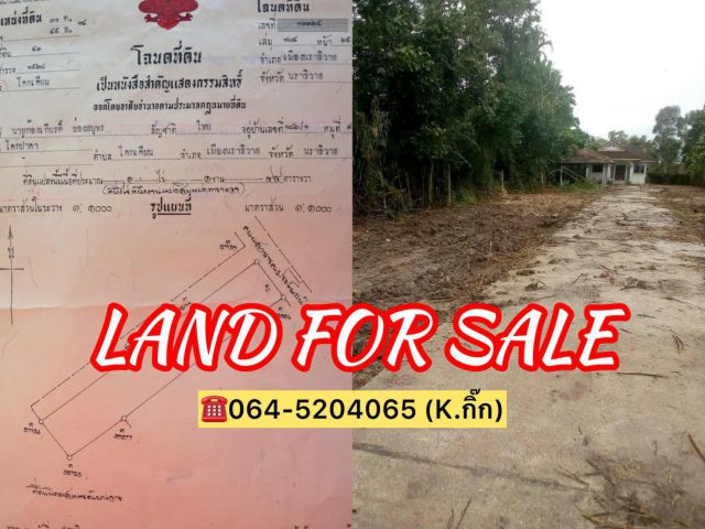 ขายที่ดิน+บ้าน เนื้อที่ 1.1 ไร่ อ.เมือง จ. นราธิวาส (โคกเคียน)