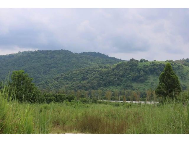 ขายที่ดินหนองขาม ศรีราชา 3 ไร่ ติดวิวเขาบ้านโค้งดาราใกล้ถนน331(นิคมปิ่นทอง)-9กม. อ.ศรีราชา ชลบุรี