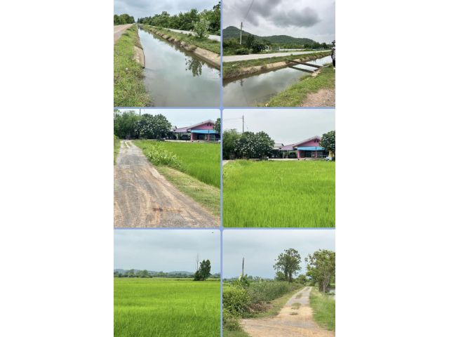 ที่นาติดคลองวิวเขา/ทุ่งนา