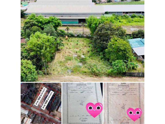 #ขายที่ดินด่วน #ขายที่ดินหนองขาม #ขายที่ดินศรีราชา #ที่ดิน100ตรว #ที่ดินเก้ากิโล #ขายที่ดินสุรศักดิ์ ขายที่ดิน100ตรว