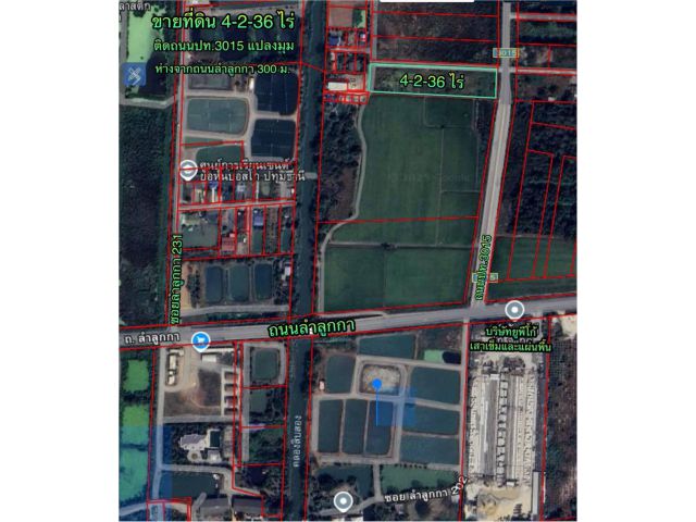 R68-079ขายที่ดิน 4-2-36 ไร่ ติดถนนปท.3015 เข้าจากถนนหลักลำลูกกาเพียง300เมตร  เป็นแปลงมุมด้านข้างติดซอย ถนนกว้าง 10เมตร