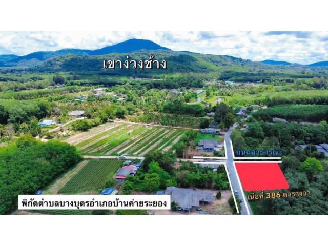 ขายที่ดินเปล่าหนองพวาบ้านจ.ระยอง