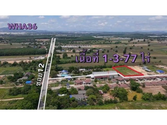 ขายที่ดินผังม่วง1ไร่3งาน77ตรว.ที่นิคมพัฒนาจ.ระยอง